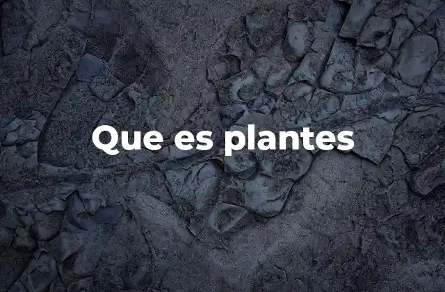 Que es Plantes 2 Uso de plantes en contextos formales e informales