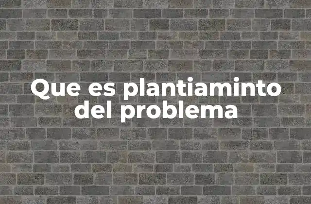 Que es Plantiaminto Del Problema
