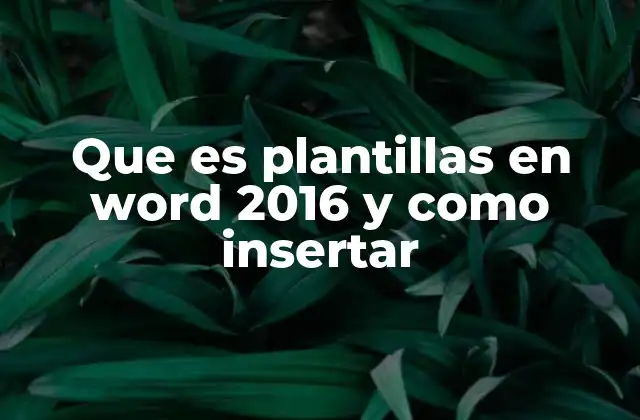 Cómo aprovechar al máximo las plantillas en Word 2016