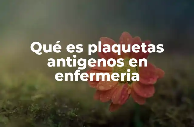 Qué es Plaquetas Antigenos en Enfermeria