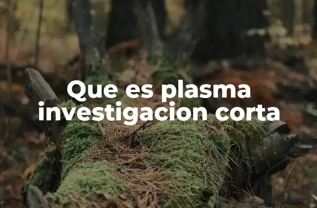 Que es Plasma Investigacion Corta