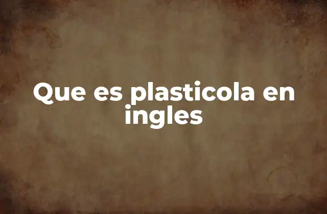 Que es Plasticola en Ingles 2 Cómo se usa el término en contextos prácticos