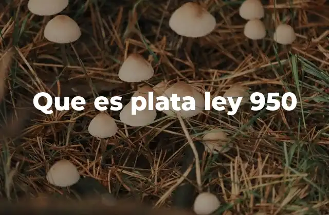 Que es Plata Ley 950