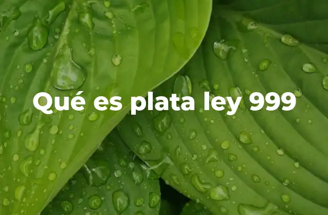 Qué es Plata Ley 999