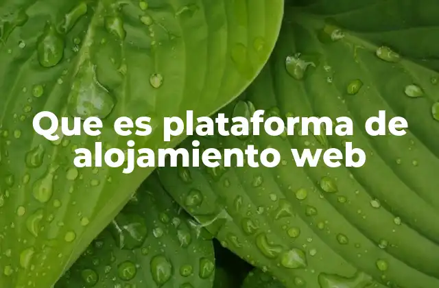 Que es Plataforma de Alojamiento Web