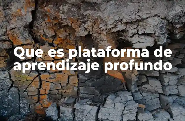 Que es Plataforma de Aprendizaje Profundo