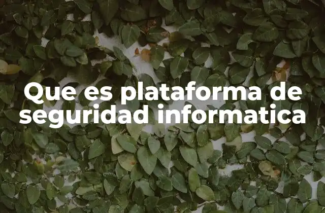 Que es Plataforma de Seguridad Informatica