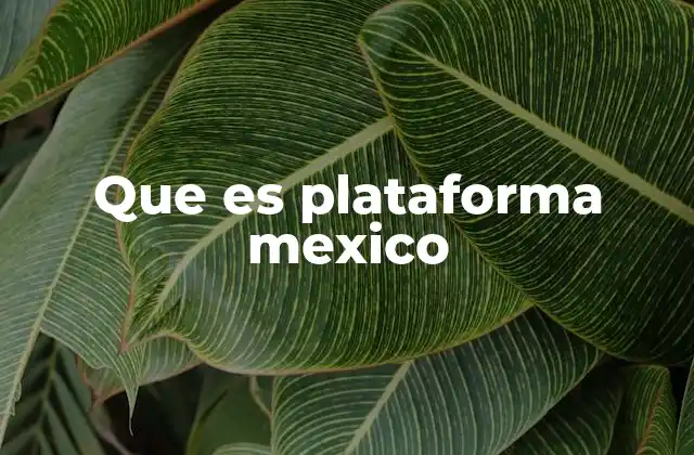 Que es Plataforma Mexico 2 El rol de Plataforma México en la sociedad mexicana