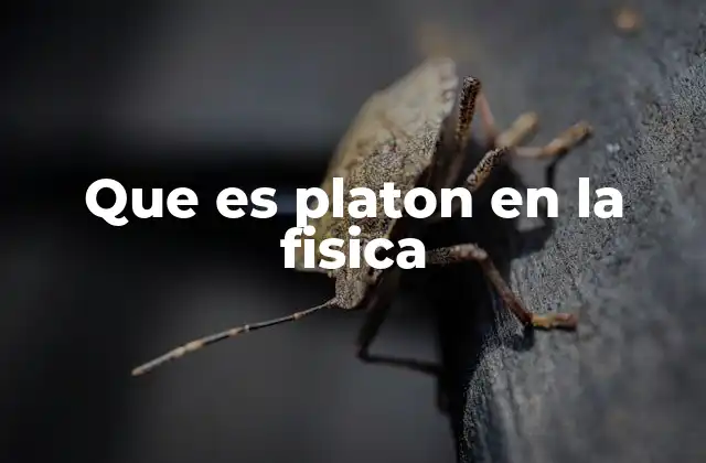Que es Platon en la Fisica