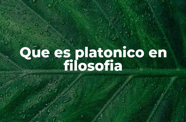 Que es Platonico en Filosofia 2 El legado platónico en la filosofía occidental