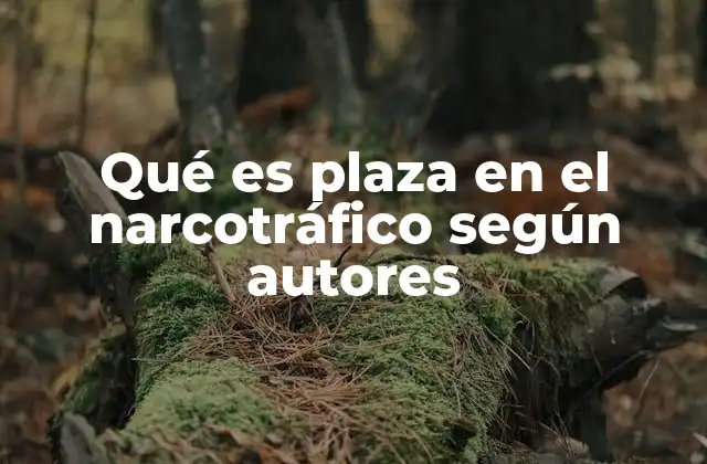 Qué es Plaza en el Narcotráfico según Autores