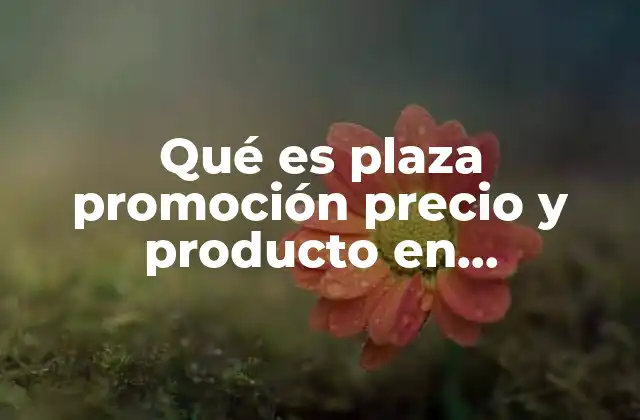 Qué es Plaza Promoción Precio y Producto en Mercadotecnia