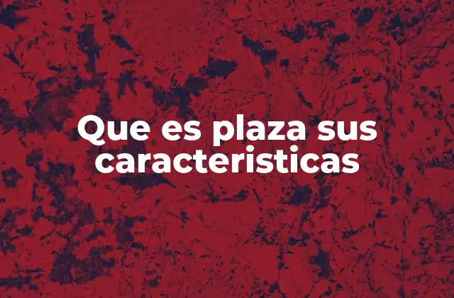 Que es Plaza Sus Caracteristicas