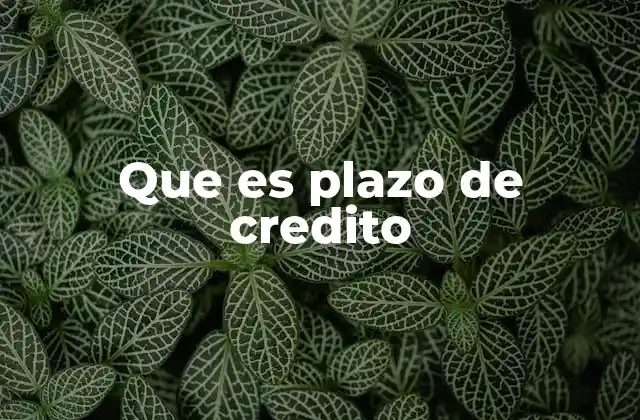 Que es Plazo de Credito