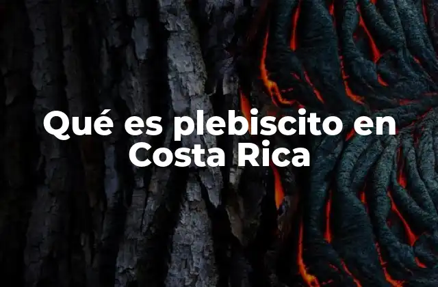 Qué es Plebiscito en Costa Rica