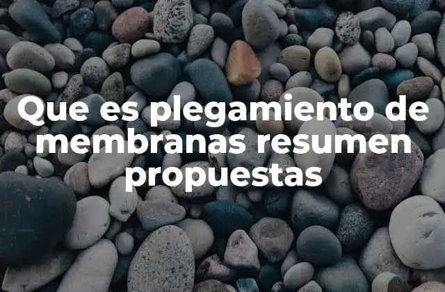 Que es Plegamiento de Membranas Resumen Propuestas