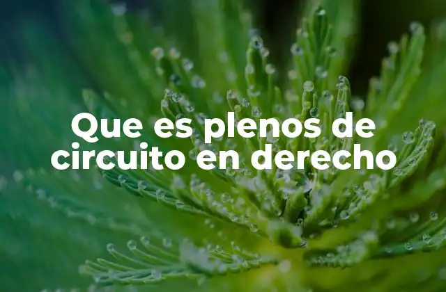 Que es Plenos de Circuito en Derecho