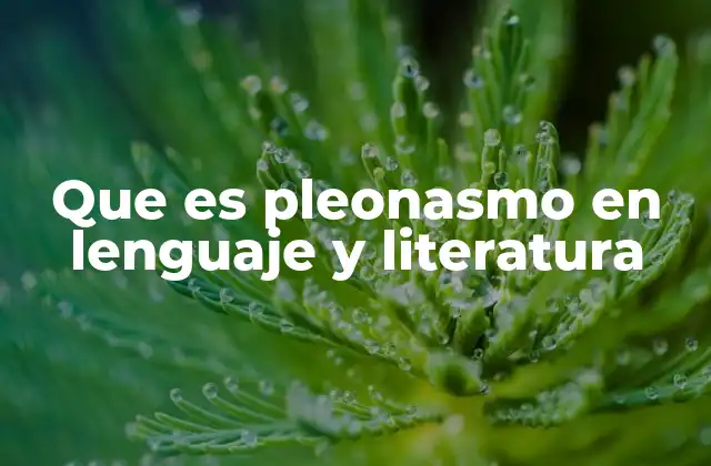 Que es Pleonasmo en Lenguaje y Literatura