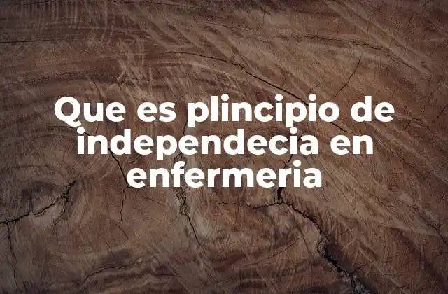 Que es Plincipio de Independecia en Enfermeria 2 La importancia del rol profesional en la autonomía de los enfermeros