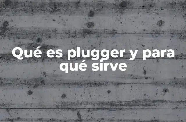 El rol del plugger en la industria manufacturera