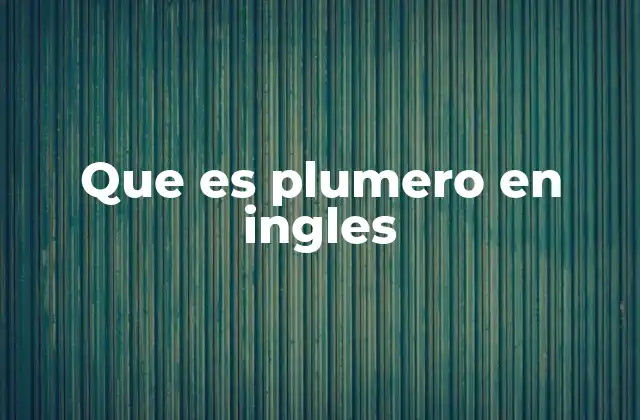 Que es Plumero en Ingles