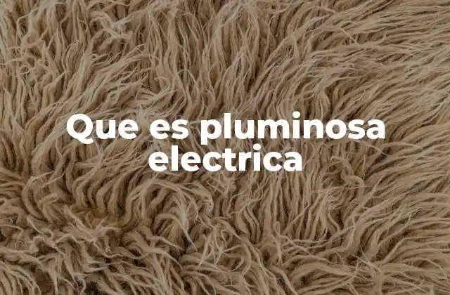 Que es Pluminosa Electrica 2 La importancia de la circulación del aire en interiores