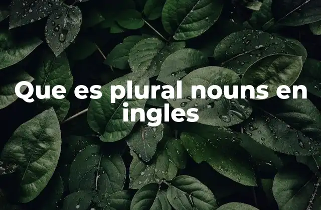Que es Plural Nouns en Ingles