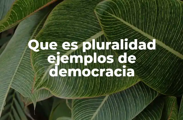 Que es Pluralidad Ejemplos de Democracia