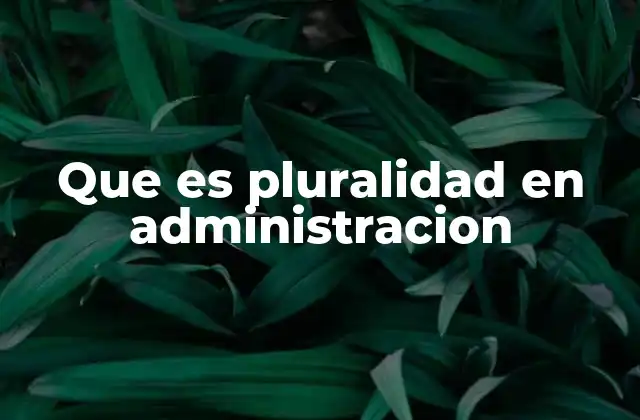 La importancia de la diversidad en los procesos administrativos