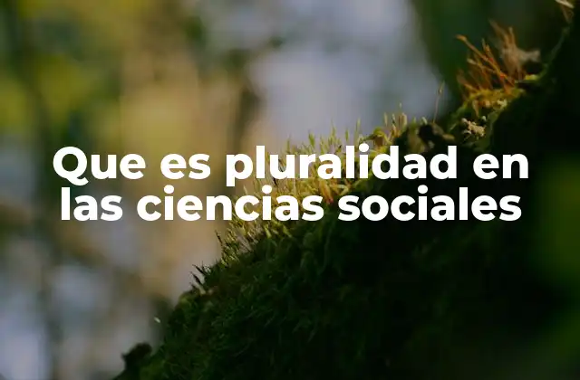 Que es Pluralidad en las Ciencias Sociales