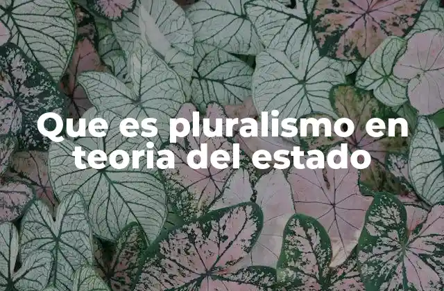 Que es Pluralismo en Teoria Del Estado