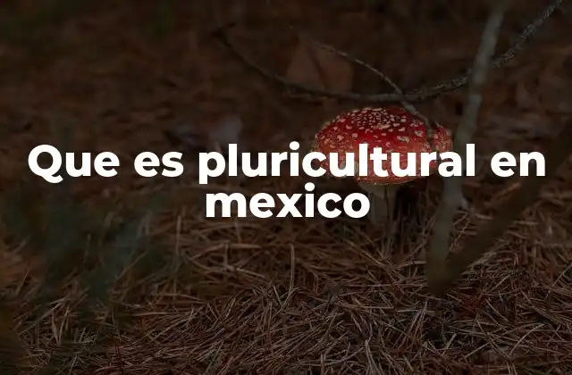 La diversidad cultural como esencia de la identidad nacional