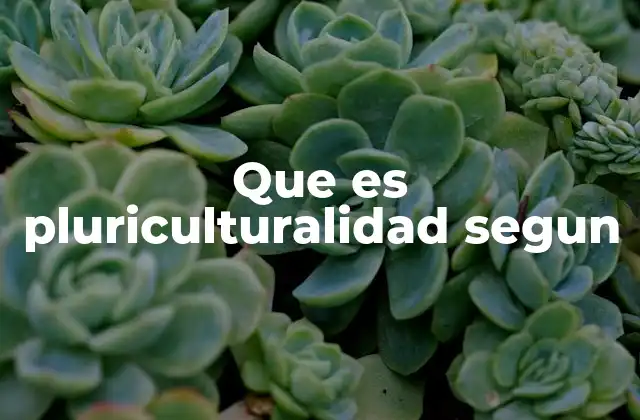 Que es Pluriculturalidad Segun
