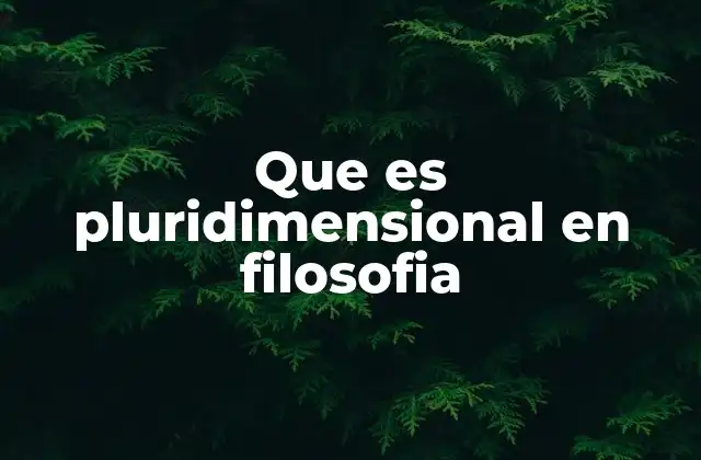 Que es Pluridimensional en Filosofia