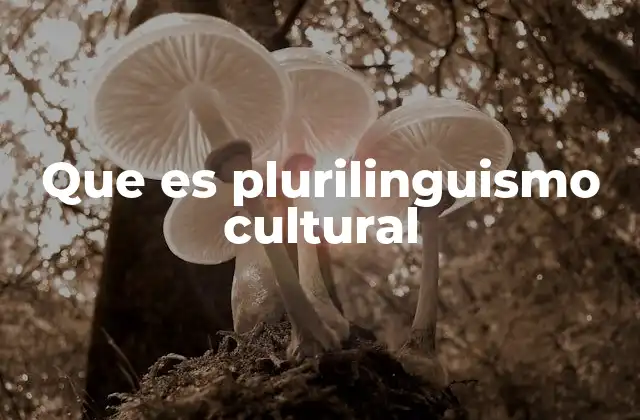 Que es Plurilinguismo Cultural