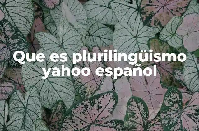Que es Plurilingüismo Yahoo Español