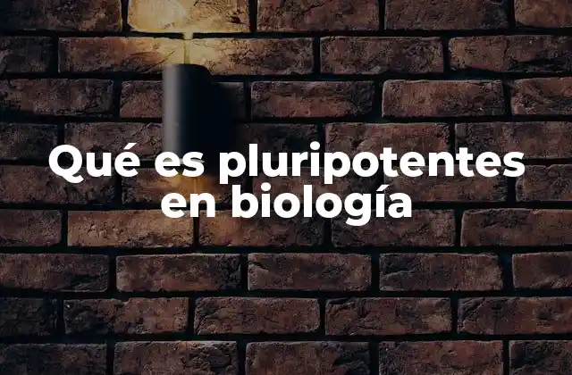 La importancia de las células pluripotentes en la medicina moderna