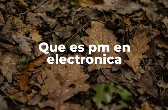 Que es Pm en Electronica