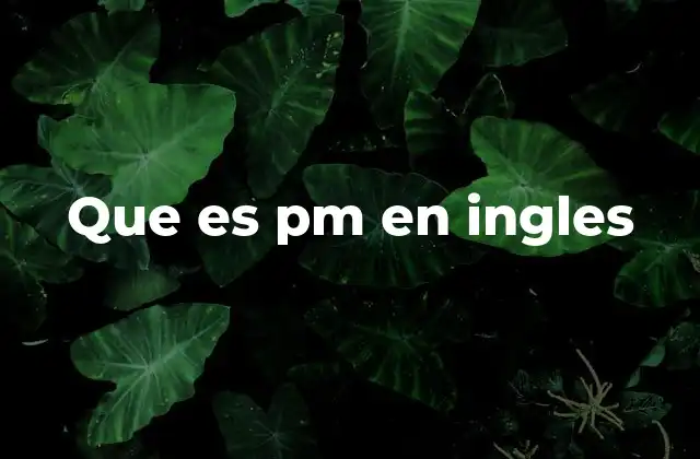 Que es Pm en Ingles