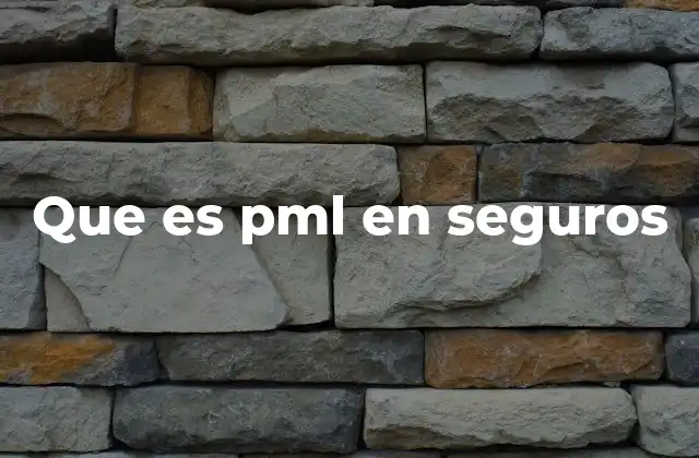 Que es Pml en Seguros