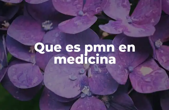 Que es Pmn en Medicina