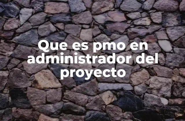 Que es Pmo en Administrador Del Proyecto