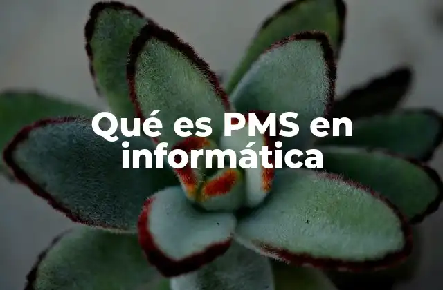 ¿Cómo impacta PMS en la gestión de proyectos tecnológicos?