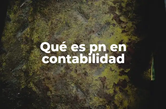 Qué es Pn en Contabilidad
