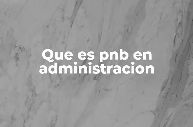El rol del PNB en la gestión estratégica empresarial