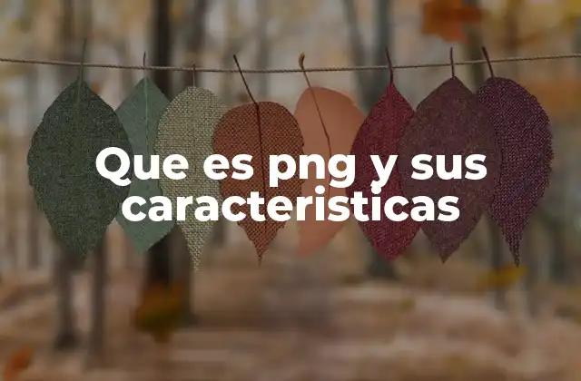 Que es Png y Sus Caracteristicas 2 Las diferencias clave entre PNG y otros formatos de imagen