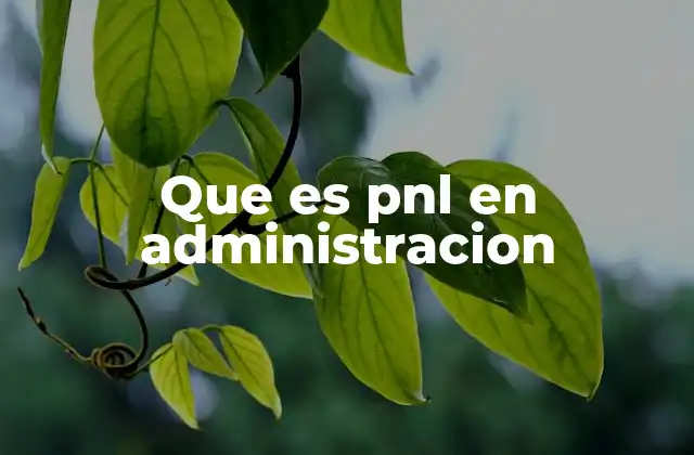 Que es Pnl en Administracion 2 Importancia del pnl en la toma de decisiones empresariales