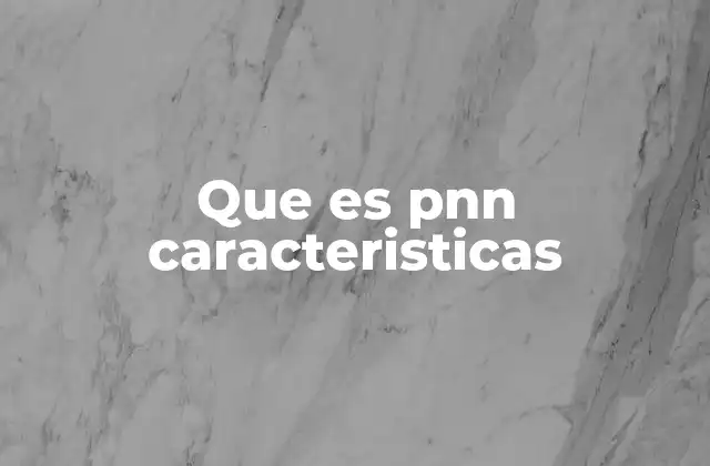 Que es Pnn Caracteristicas