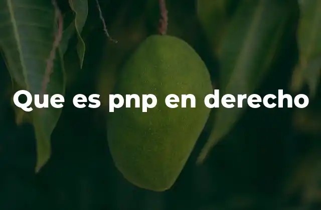 Que es Pnp en Derecho