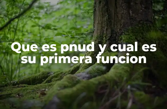 Que es Pnud y Cual es Su Primera Funcion